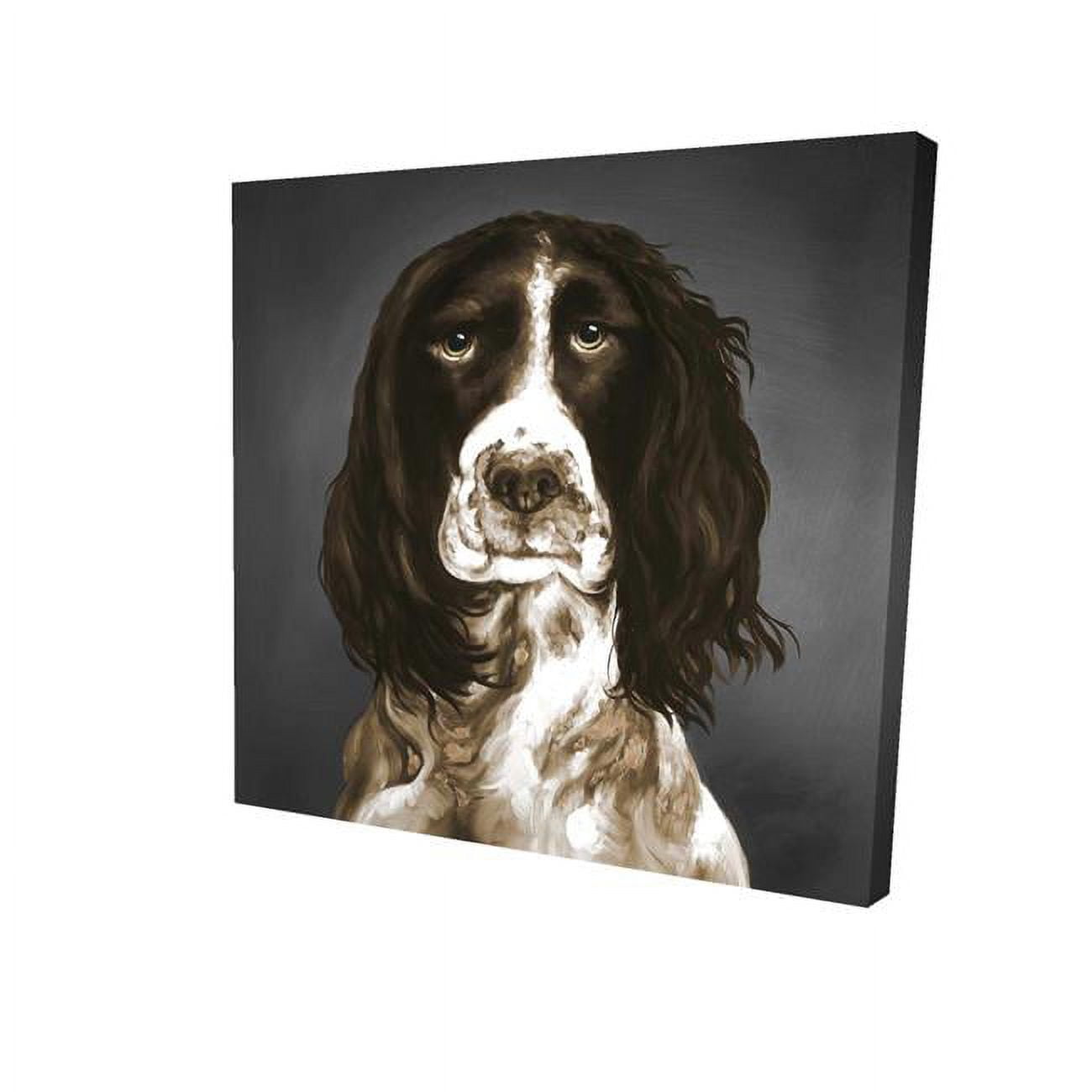 8 x 8 in. Brown English Springer Spaniel-Print on Canvas