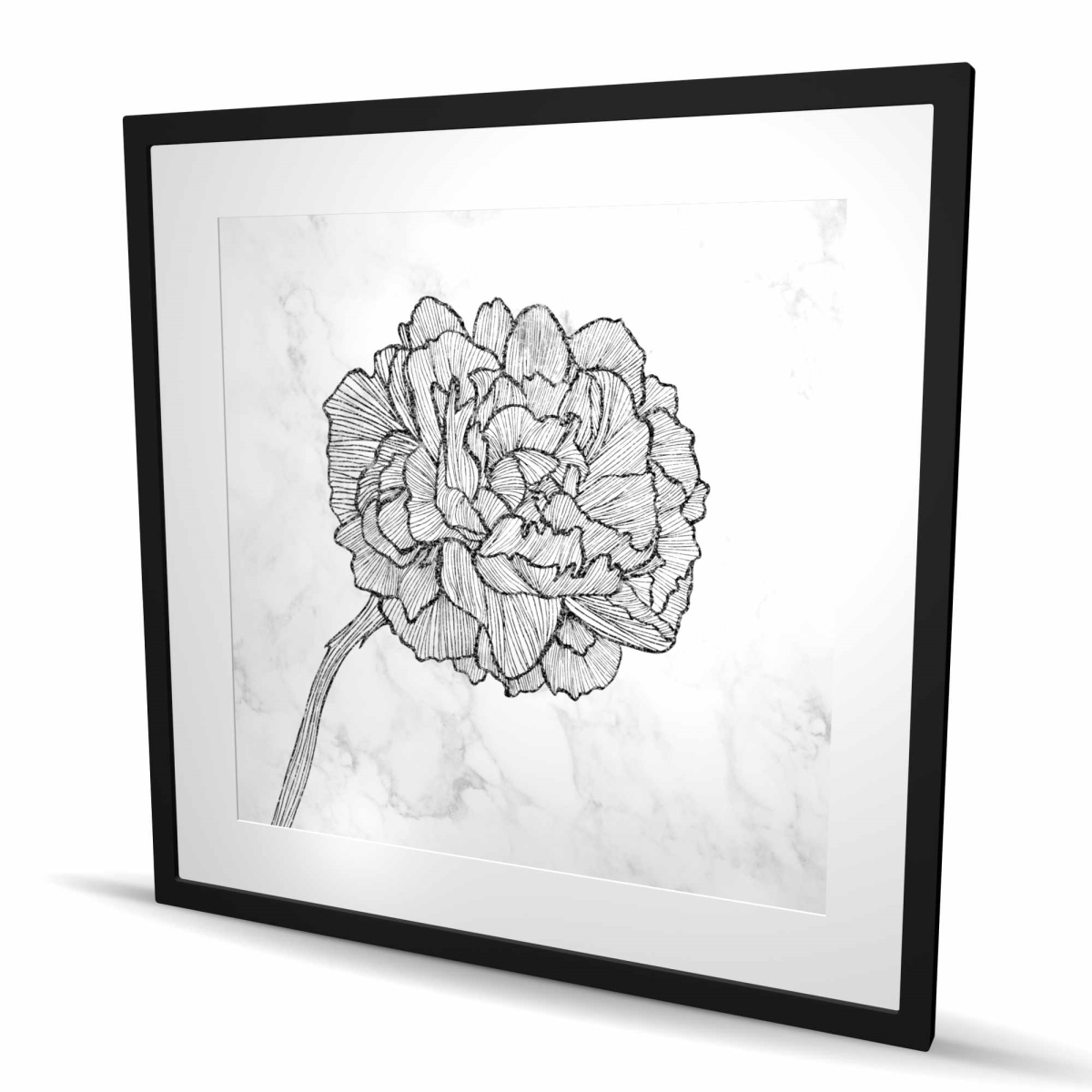 C1FM363680W7W8 36 x 36 in. Bright Peony - Framed Matted Print for Bedroom Decor