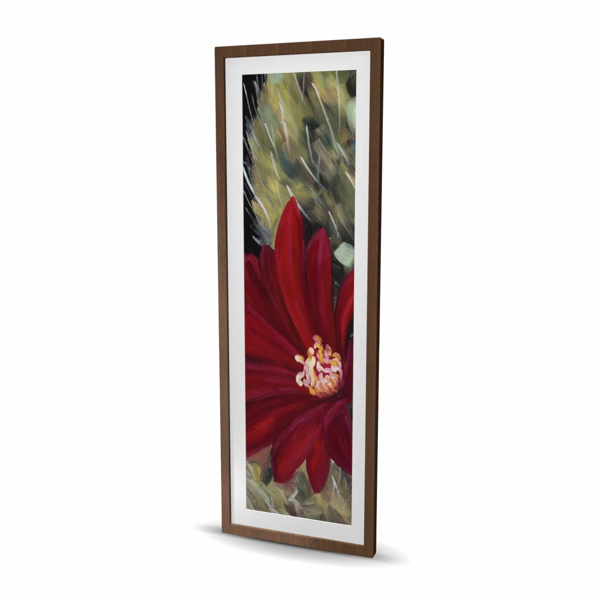 C1FM2060DCAQZW 20 x 60 in. Echinopsis Red Cactus Flower - Framed Matted Print for Decor