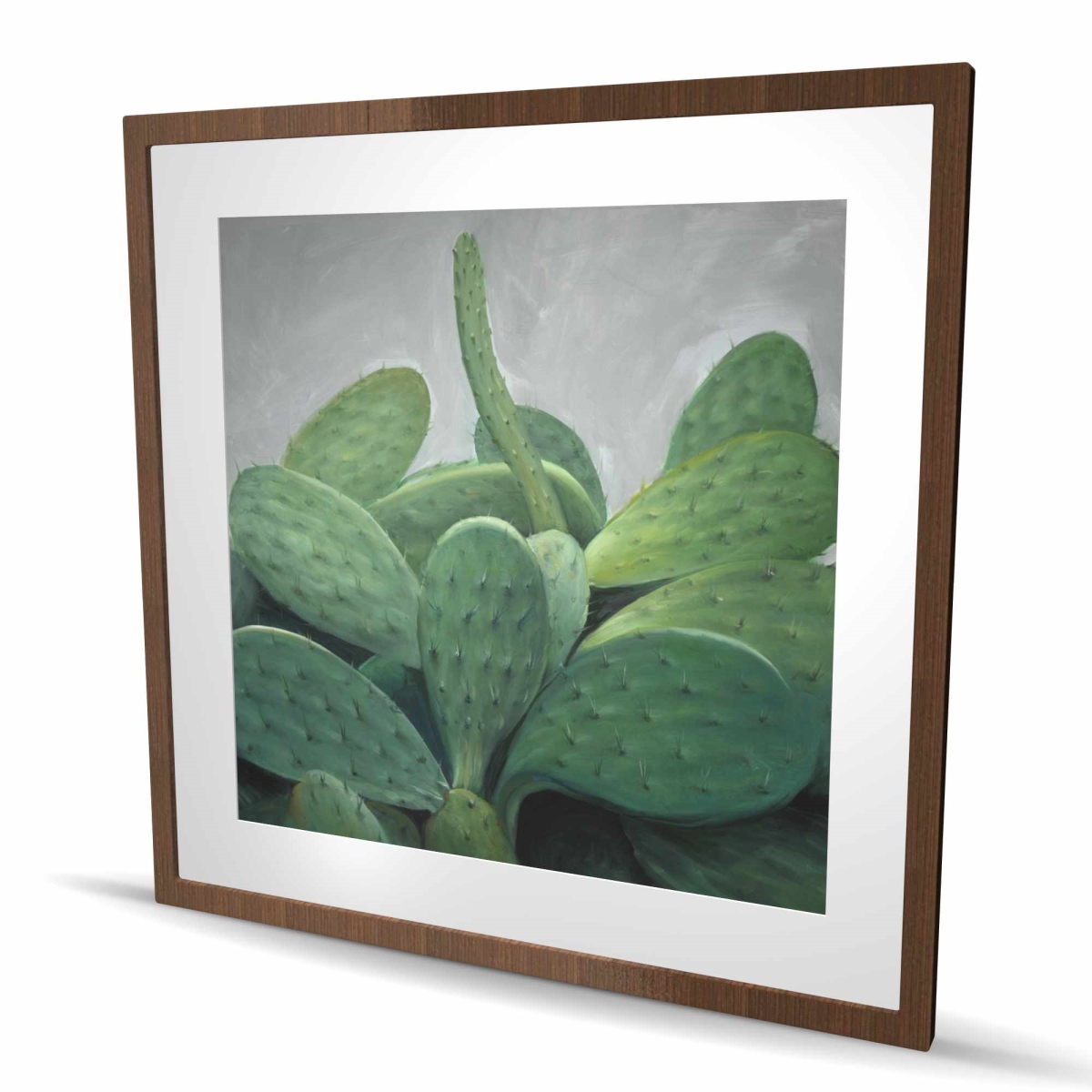 C1FM36368ZJ0MW 36 x 36 in. Cactus Bundle - Cactus Green Framed Matted Print for Decor