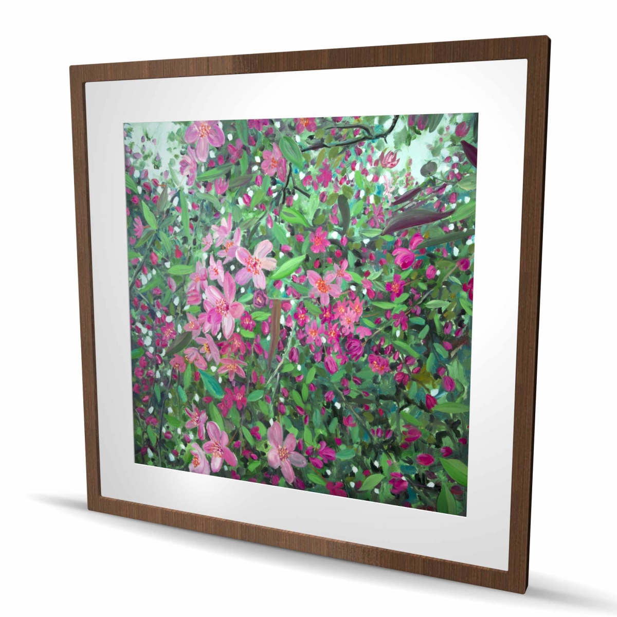 C1FM363612ND0I 36 x 36 in. Cherry Tree Blooming - Purple Framed Matted Print for Decor