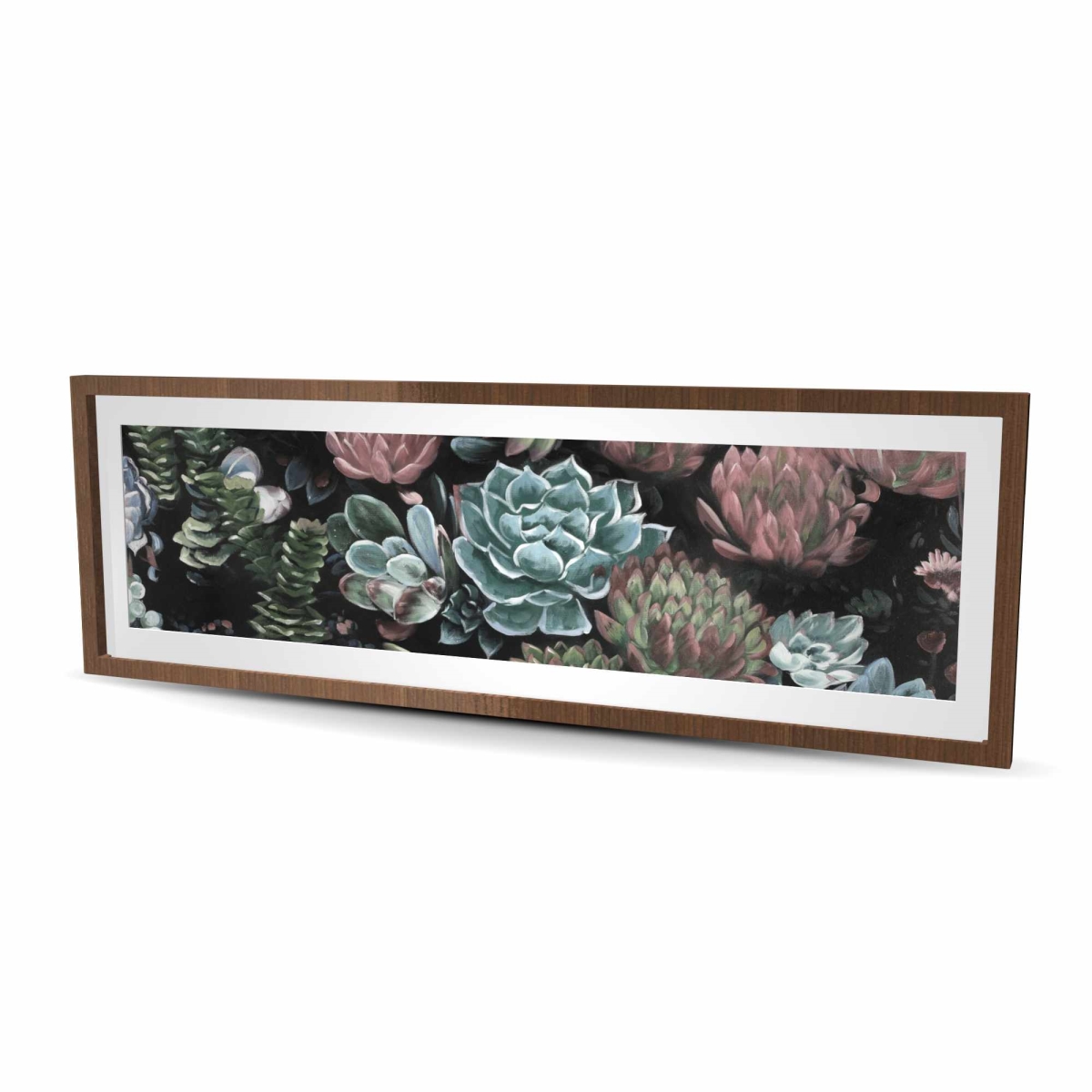 C1FM2060FBDFWL 20 x 60 in. Succulent Set - Cactus Floral Framed Print for Home Decor