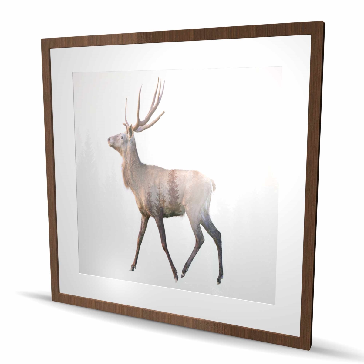 C1FM3636NGZNPU 36 x 36 in. Deer & Forest - Rustic Framed Matted Print for Home Decor
