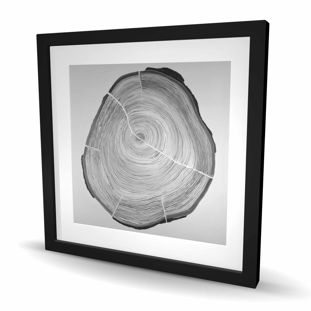 C1FM2424KJ3PKE 24 x 24 in. Grayscale Wood Log - Trees Still Life Framed Print for Decor