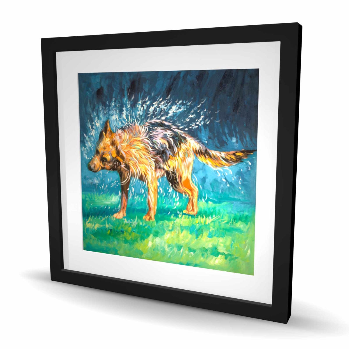 C1FM242498TMTC 24 x 24 in. Spin-Dry Wet German Shepherd - Hyperrealist Framed Print