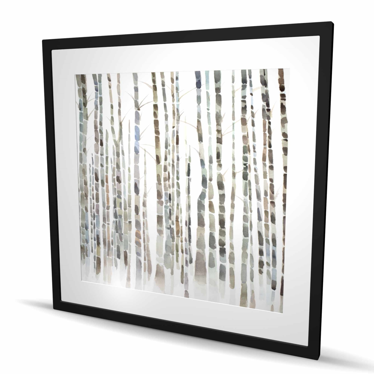 C1FM3636RLMAF1 36 x 36 in. Birch Trees Forest - Framed Matted Print for Home Decor