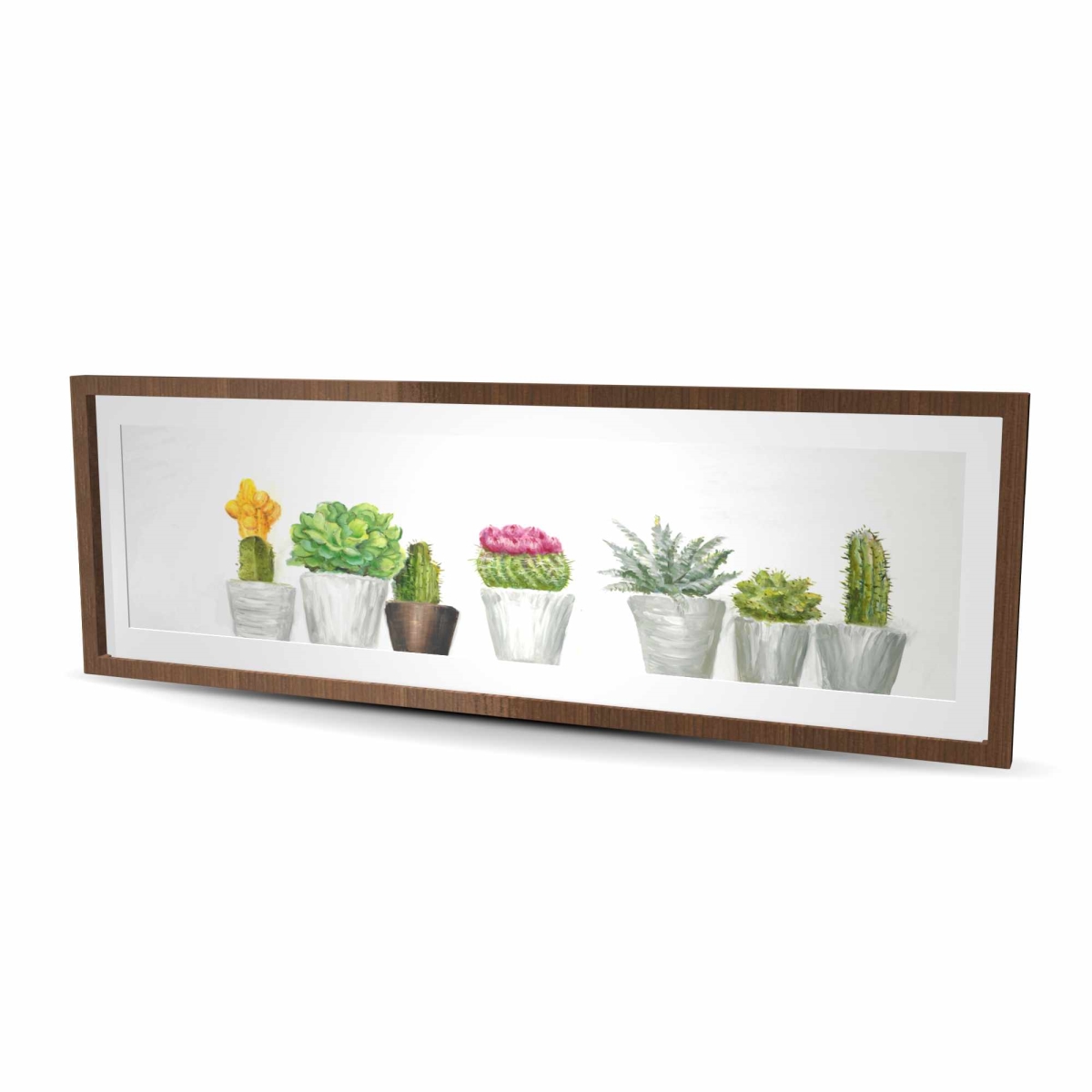 C1FM2060MBPKMH 20 x 60 in. Mini Cactus & Succulents - Framed Matted Print for Decor