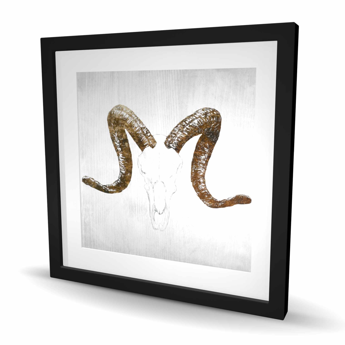 C1FM2424CPDV60 24 x 24 in. Aeries Skull with Brown Horns - Framed Matted Print Decor