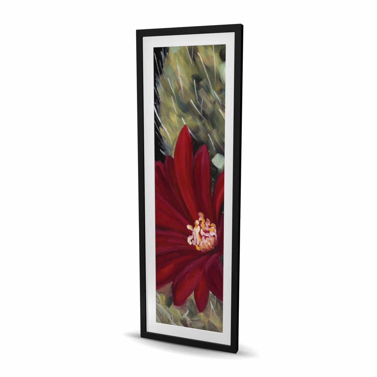 C1FM2060JJ7JOP 20 x 60 in. Echinopsis Red Cactus Flower - Floral Black Framed Print