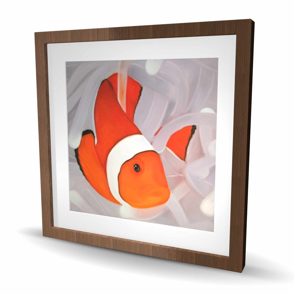 C1FM24242XC2VJ 24 x 24 in. Clownfish Under the Sea - Framed Matted Print for Home Decor