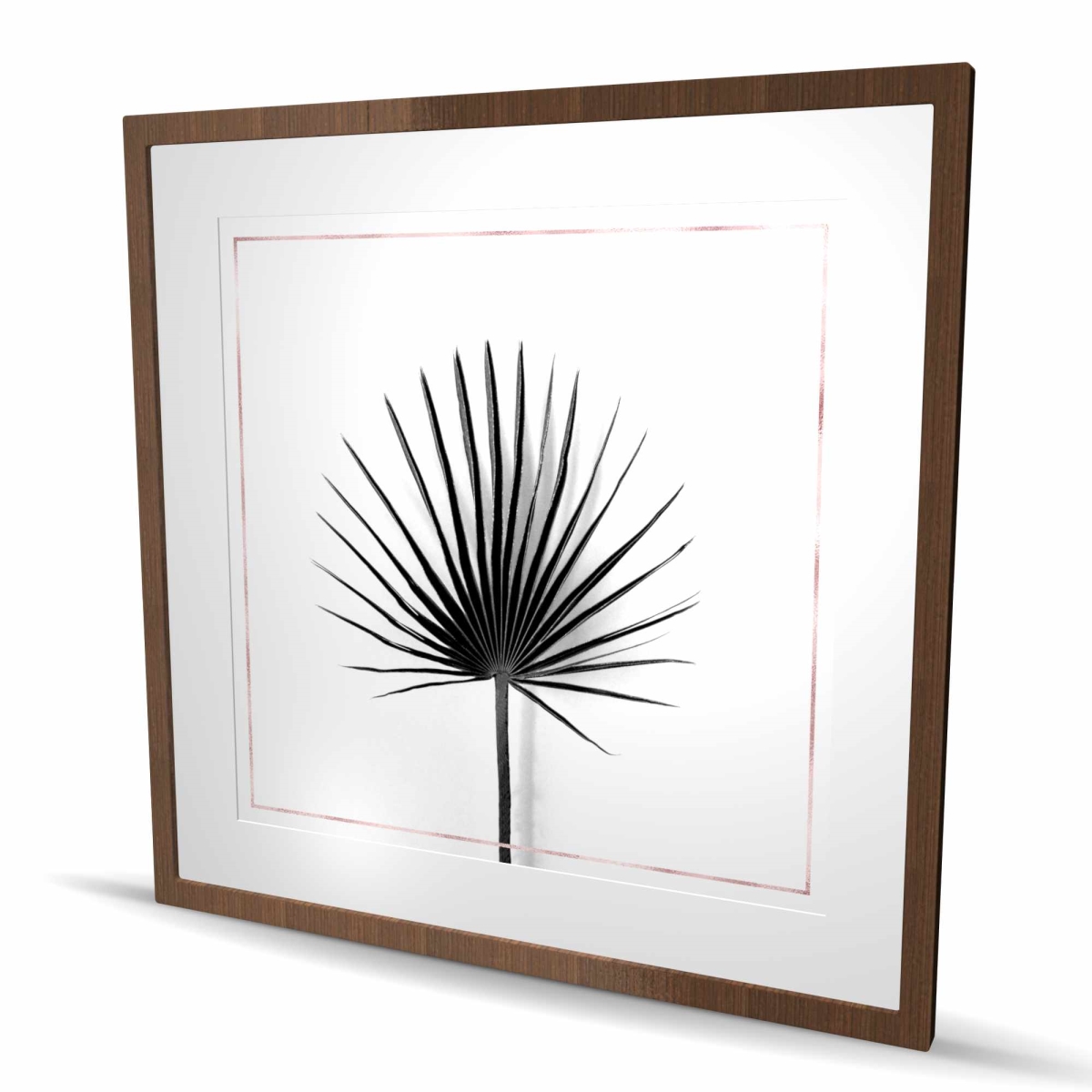 C1FM3636ZOA4U0 36 x 36 in. Cabbage Palm Leaf Print with Rose Lines - Scandinavian Decor