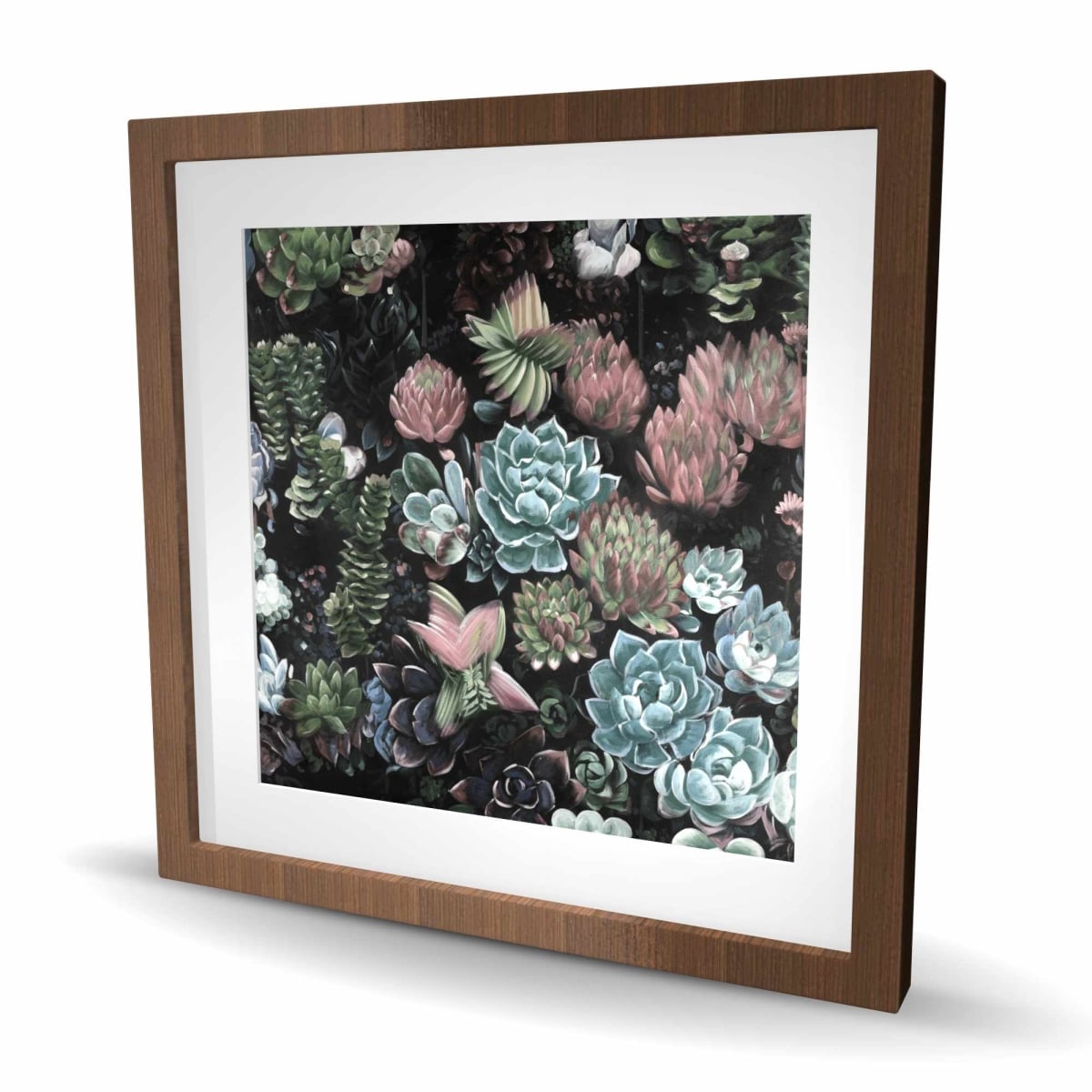 C1FM2424YMM5NL 24 x 24 in. Succulent Set - Framed Matted Botanical Print for Home Decor