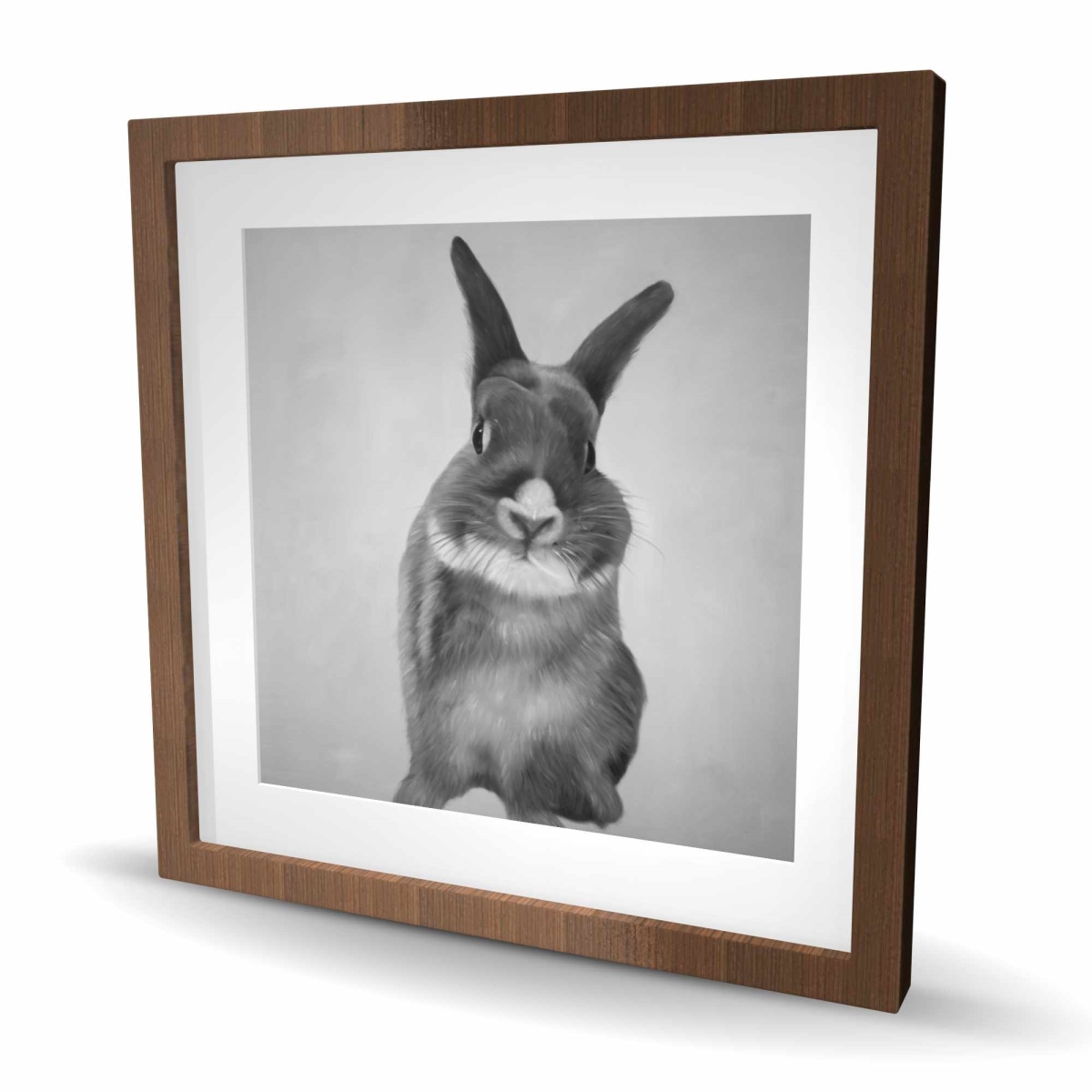 C1FM2424ZSHBG8 24 x 24 in. Funny Gray Rabbit - Hyperrealist Framed Matted Print Decor