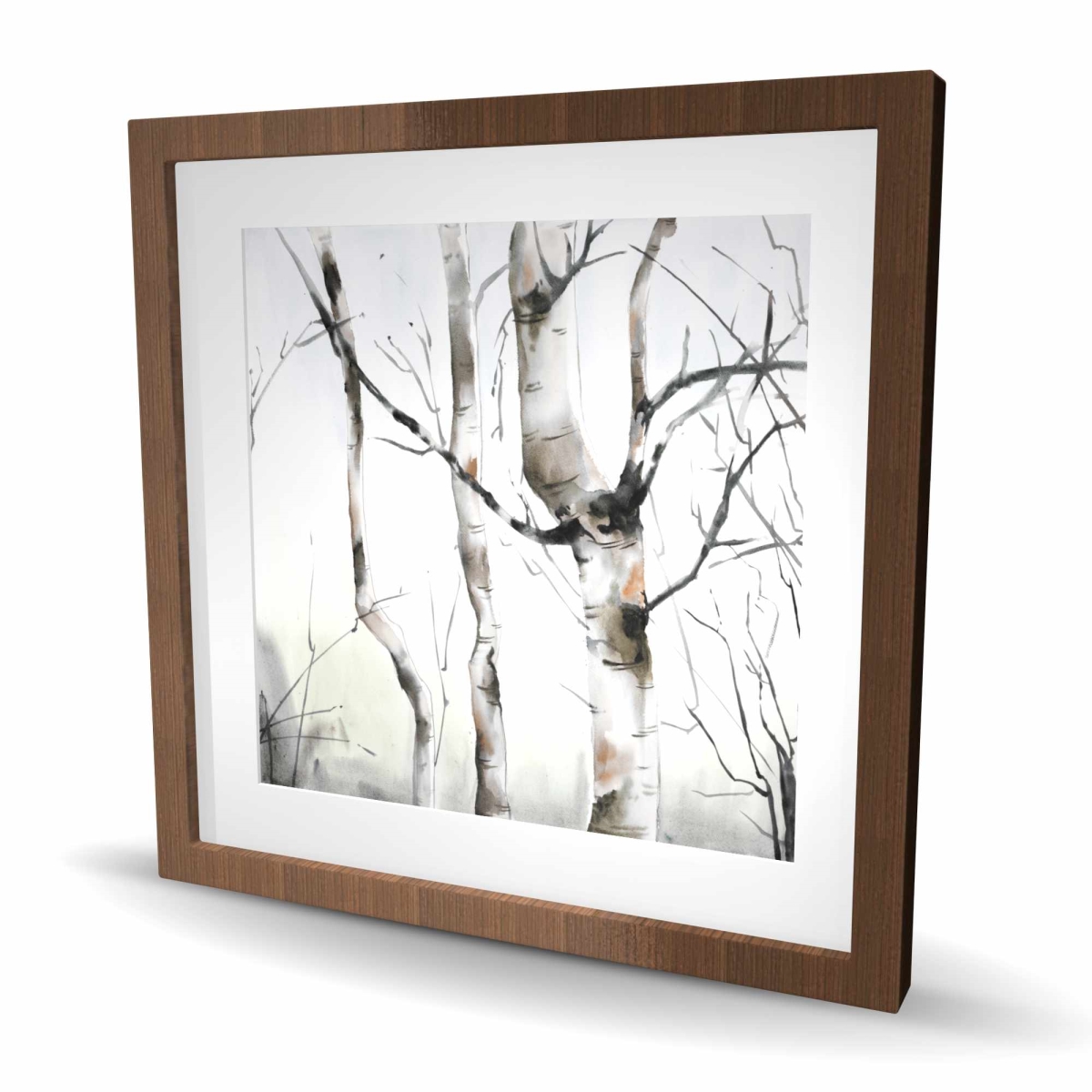 C1FM2424A21ET5 24 x 24 in. Three Birches Trees Framed Matted Print - Home Decor Art