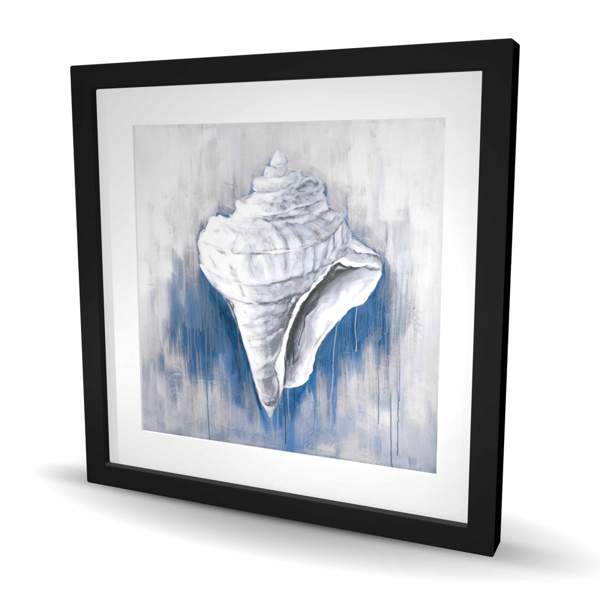 C1FM2424UFK8I8 24 x 24 in. Blue Conical Shell - Marine Sea Framed Matted Print Decor