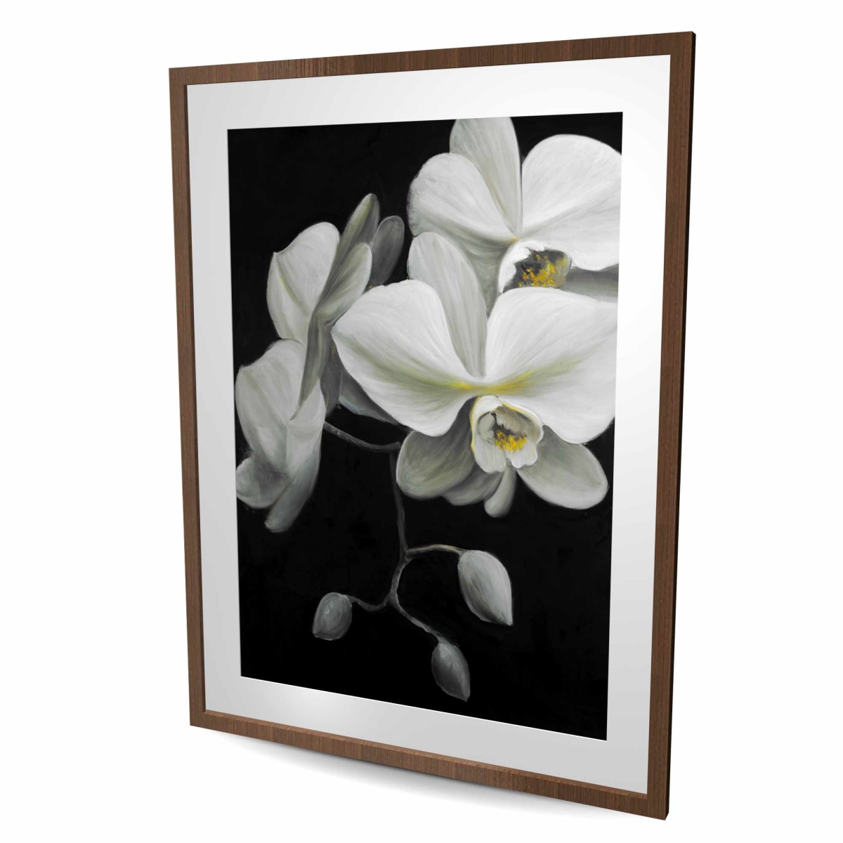 C1FM3648MORO1D 36 x 48 in. White Orchids - Romantic Framed Matted Print for Home Decor