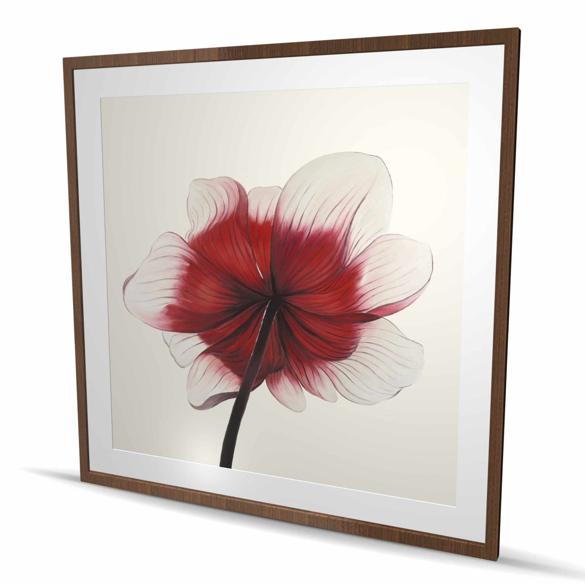 C1FM4848GJV7KH 48 x 48 in. Anemone Red Flower - Hyperrealist Office Framed Print Decor