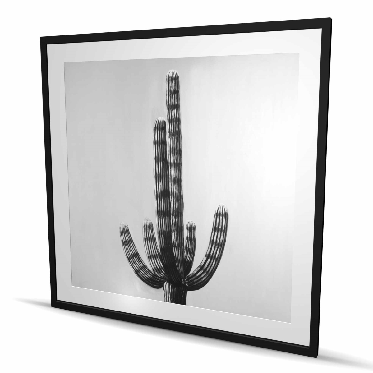 C1FM4848I0ENNK 48 x 48 in. Cactus - Black & White Bedroom Framed Matted Print Decor