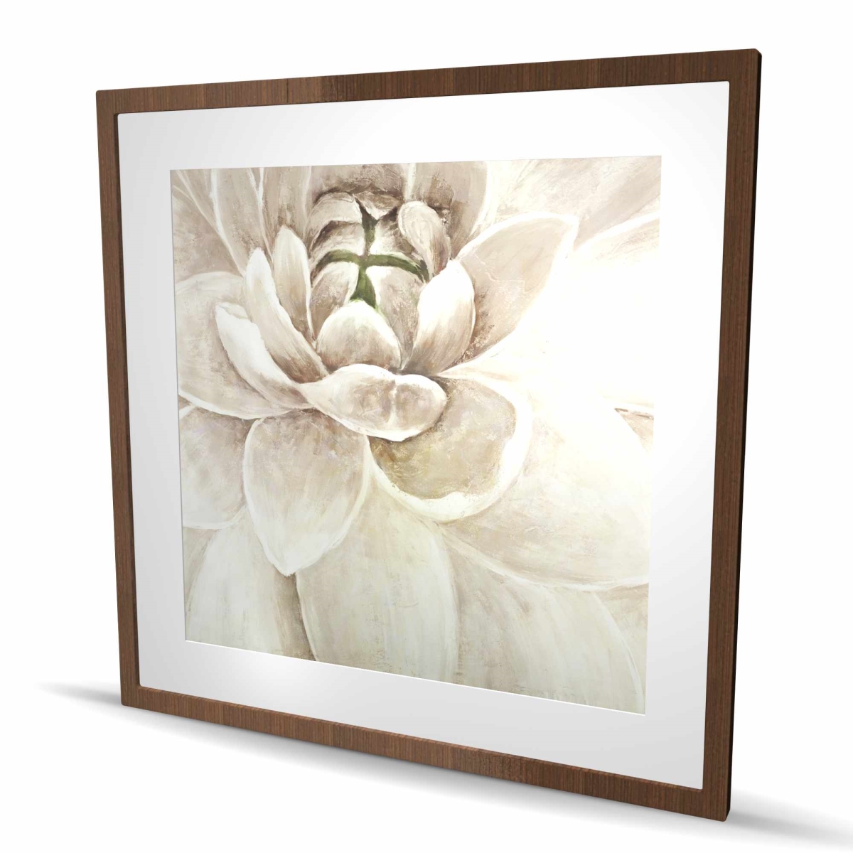 C1FM36366DJLC4 36 x 36 in. Delicate Chrysanthemum - Modern Office Framed Matted Print