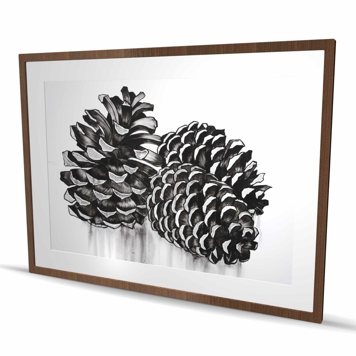 C1FM36489QQTVR 36 x 48 in. Three Small Pine Cones Print - Gray Framed Matted Decor