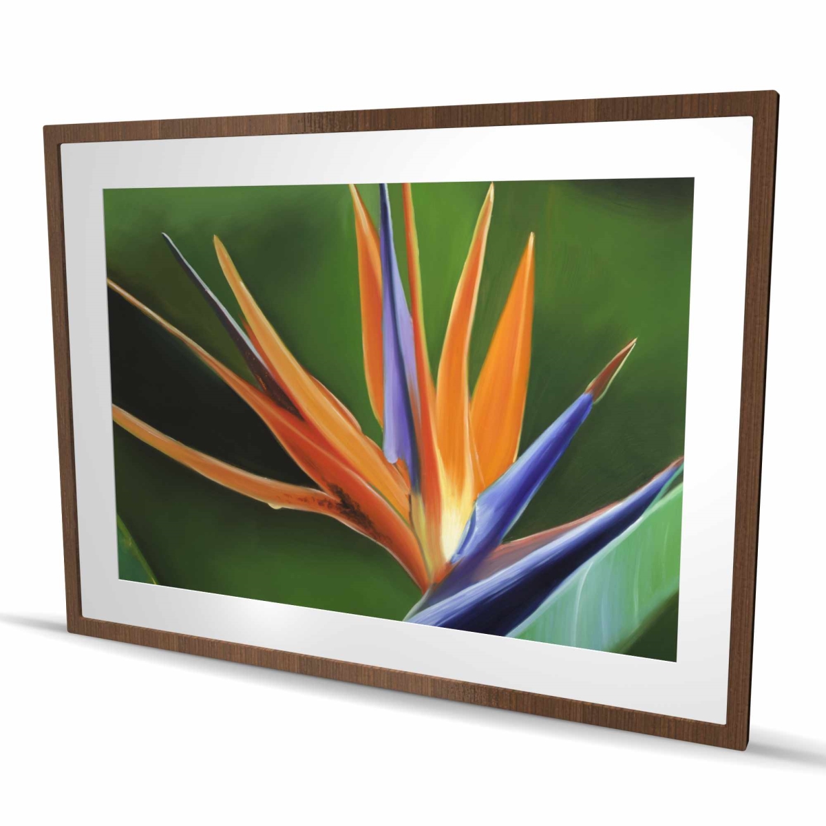 C1FM3648W6D5TK 36 x 48 in. Bird of Paradise Flower Print - Orange Floral Home Decor