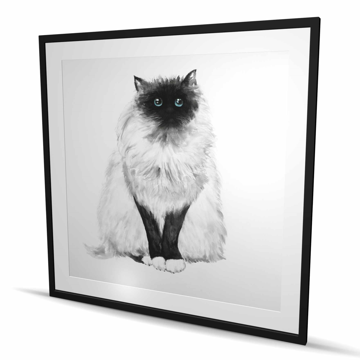 C1FM4848I2IGN2 48 x 48 in. Blue Eyes Fluffy Siamese Cat Print - Home Decor Framed Art