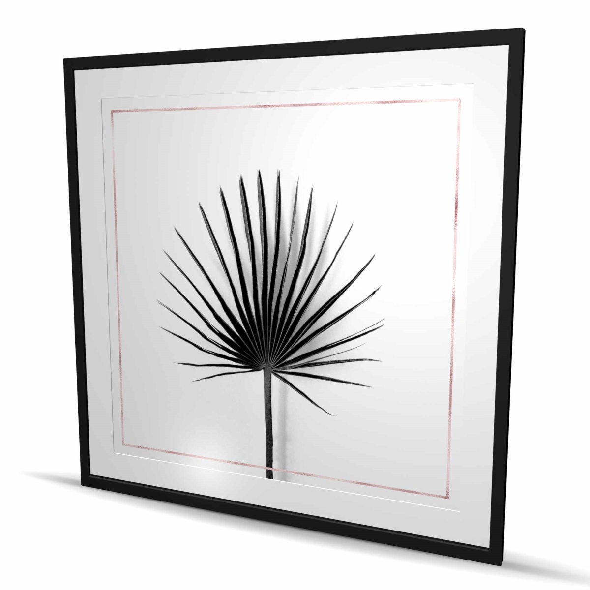 C1FM4848Y8DK8N 48 x 48 in. Cabbage Palm Leaf with Rose Lines - Minimalist Framed Print