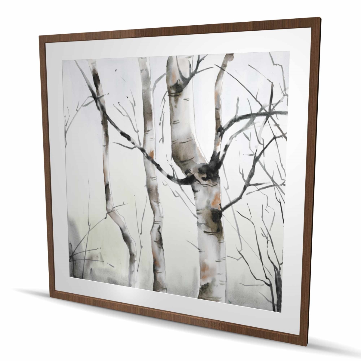 C1FM48484270EZ 48 x 48 in. Three Birches Trees Print - Framed Matted Home Decor Art