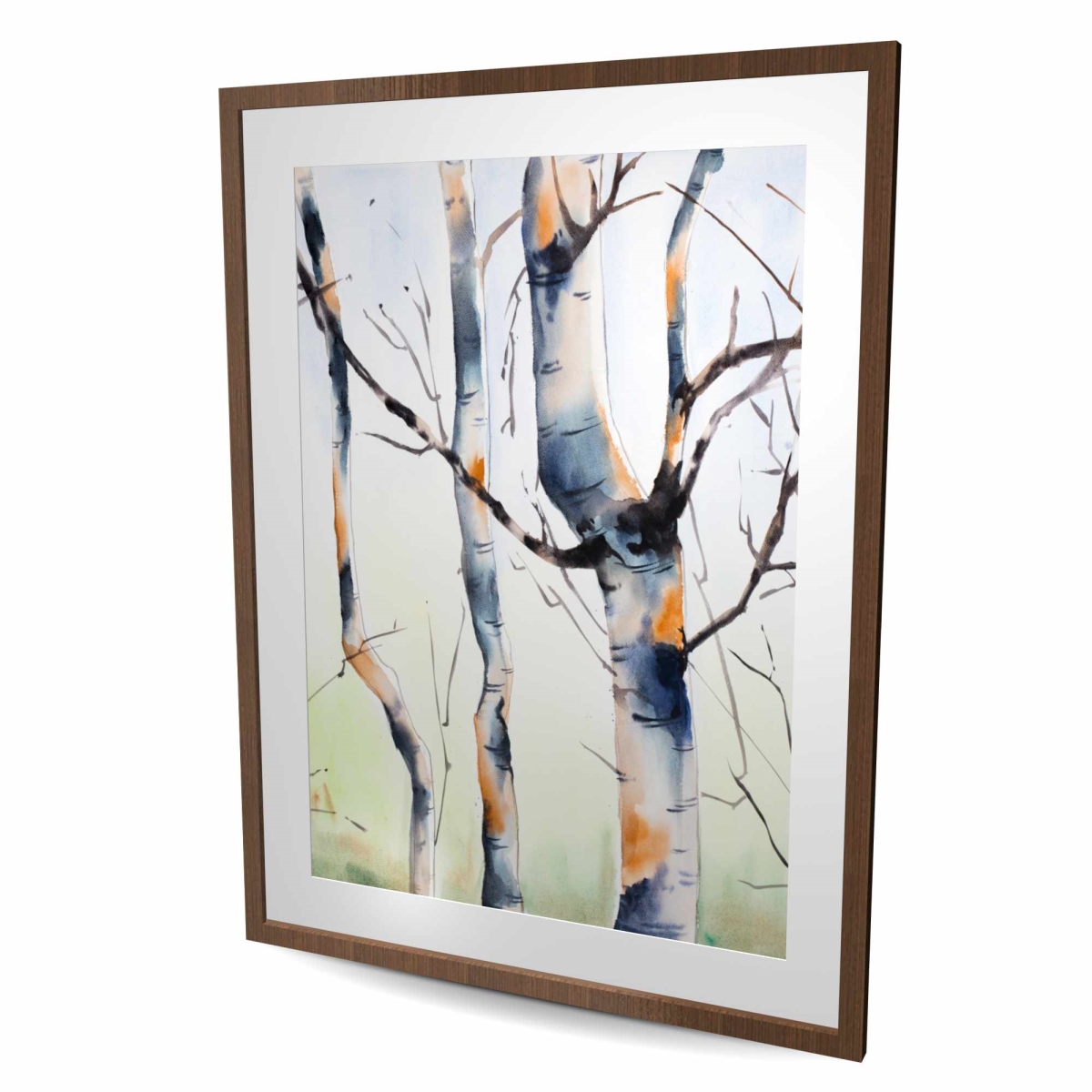 C1FM3648UNEQBH 36 x 48 in. Three Small Birch Trees - Framed Matted Print for Home Decor