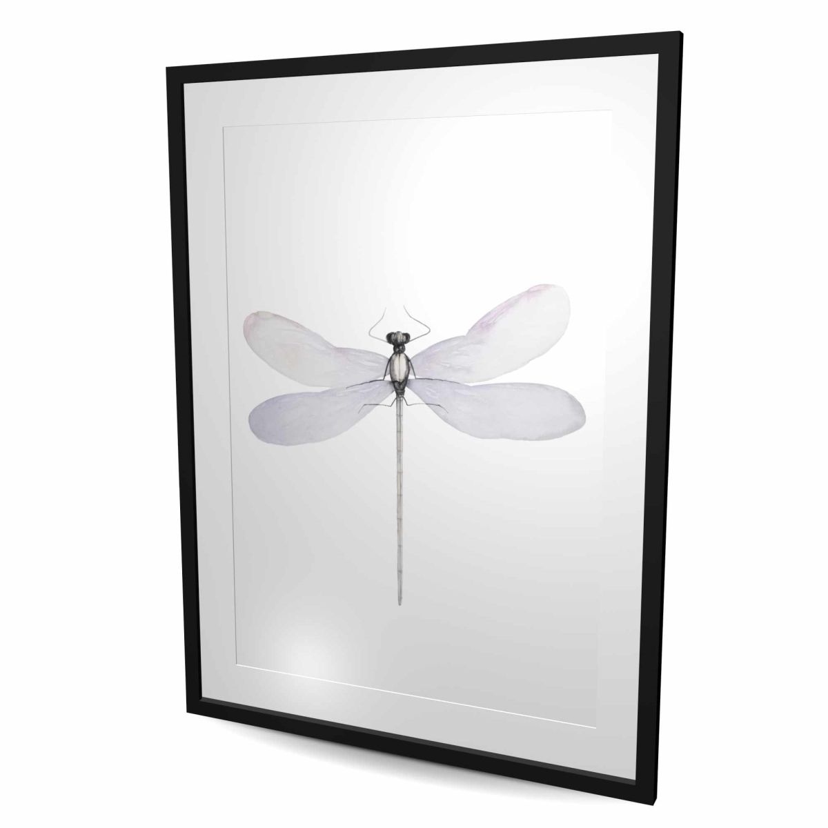 C1FM3648TSL9MW 36 x 48 in. Delicate Dragonfly - Framed Matted Print for Home Decor
