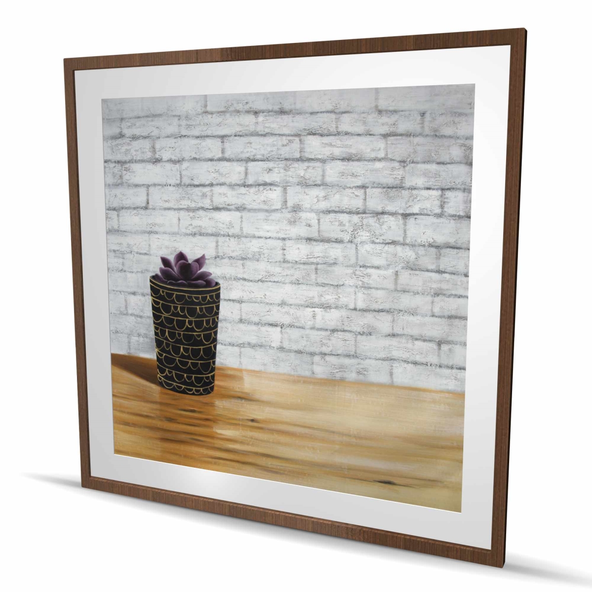 C1FM48487H9DVC 48 x 48 in. Succulent in A Pot - Exotic Office Framed Matted Print Decor
