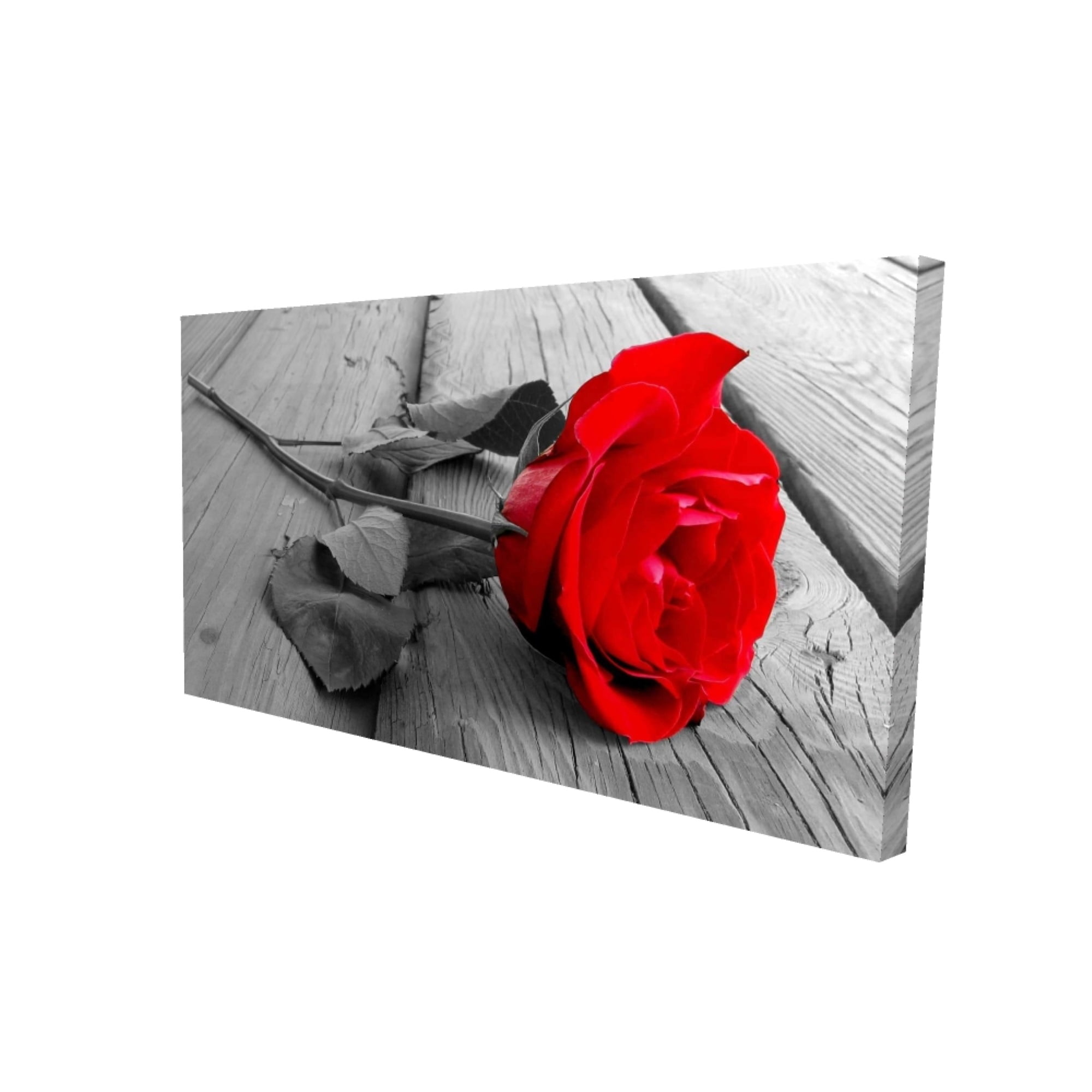 2080-1616-HO14 16 x 16 in. Mistletoe-Print on Canvas