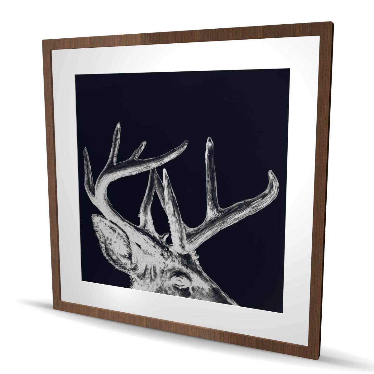 C1FM3636I2Z7A3 36 x 36 in. Blue Roe Deer Plume - Holidays Office Framed Matted Print