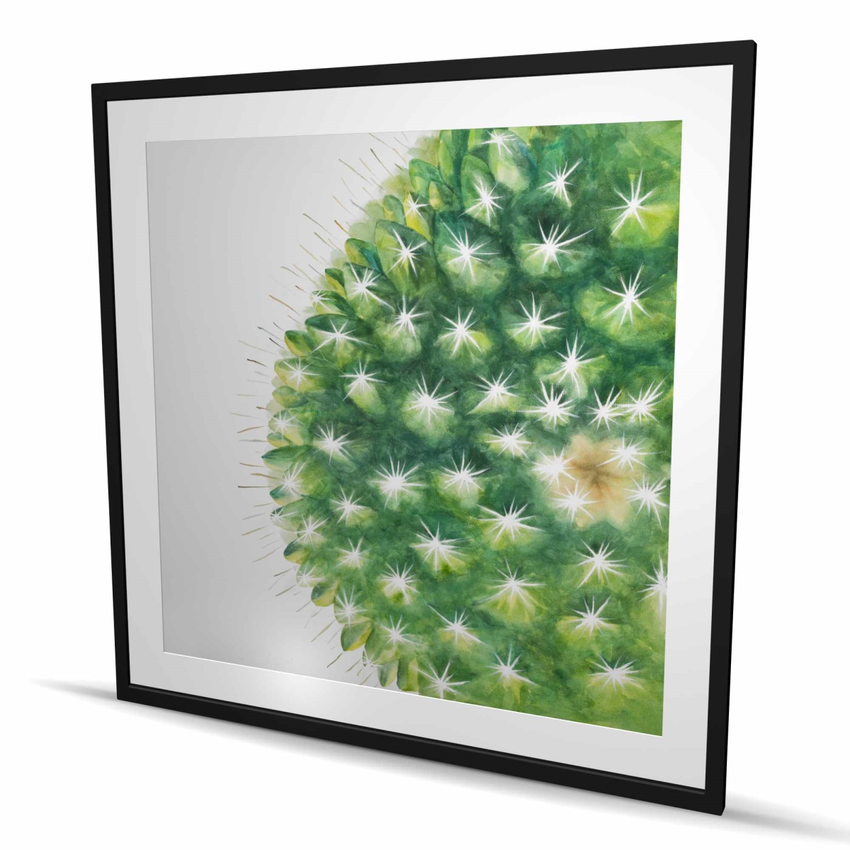 C1FM4848Q57166 48 x 48 in. Watercolor Mini Cactus - Framed Matted Botanical Print