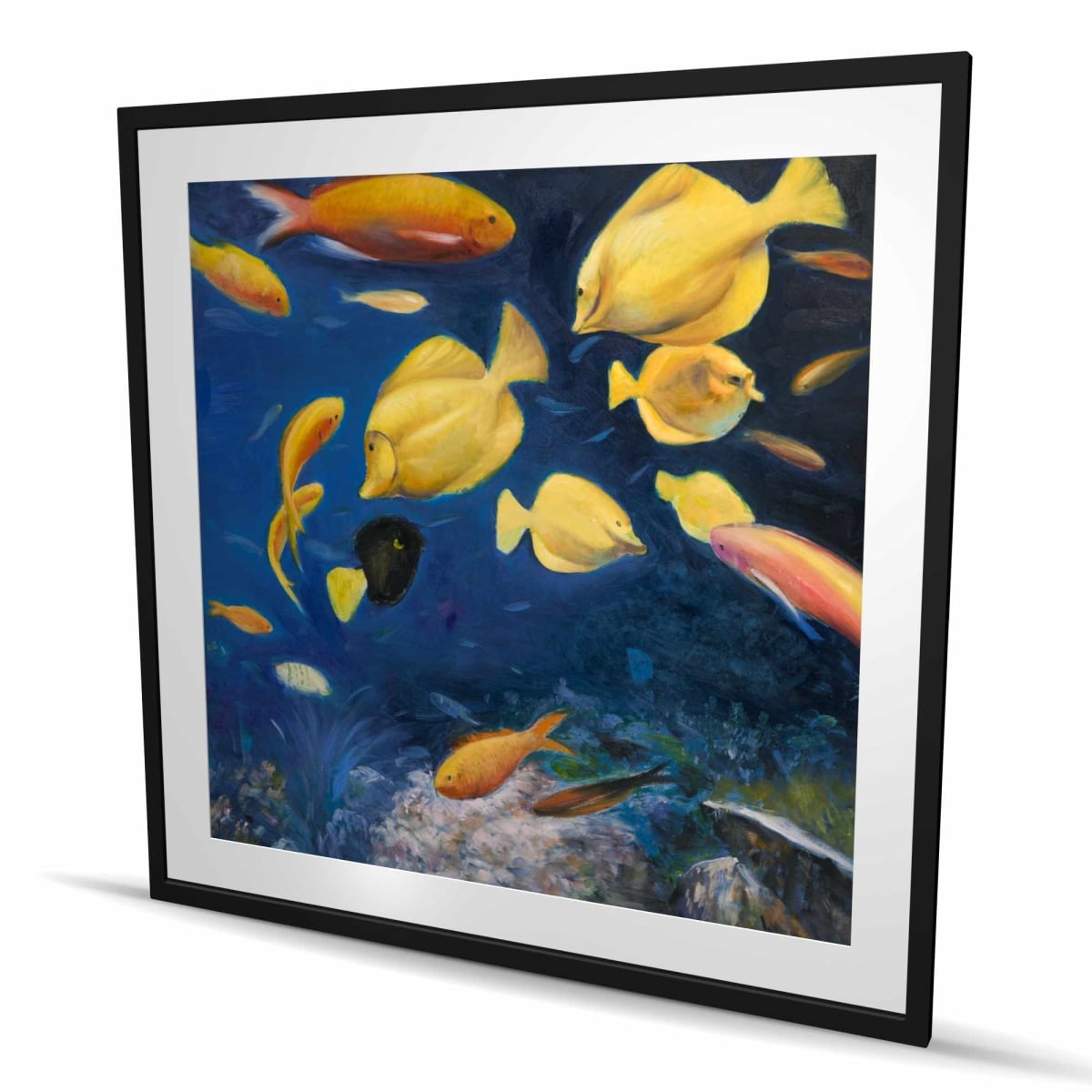 C1FM4848D6FJAY 48 x 48 in. Fish Under the Sea - Office Classic Blue Framed Print