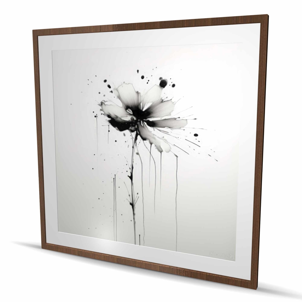 C1FM4848MG4M54 48 x 48 in. Exploding Flower - White Framed Matted Print for Home Decor