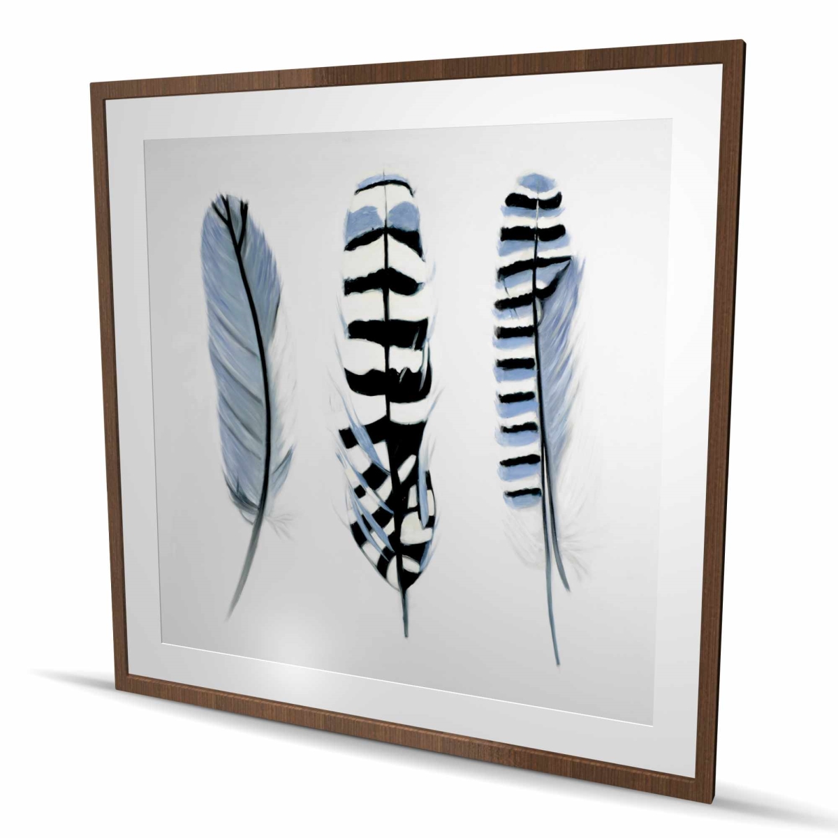 C1FM4848FCAWCO 48 x 48 in. Delicate Feathers - Spiritual Blue Framed Matted Print Decor