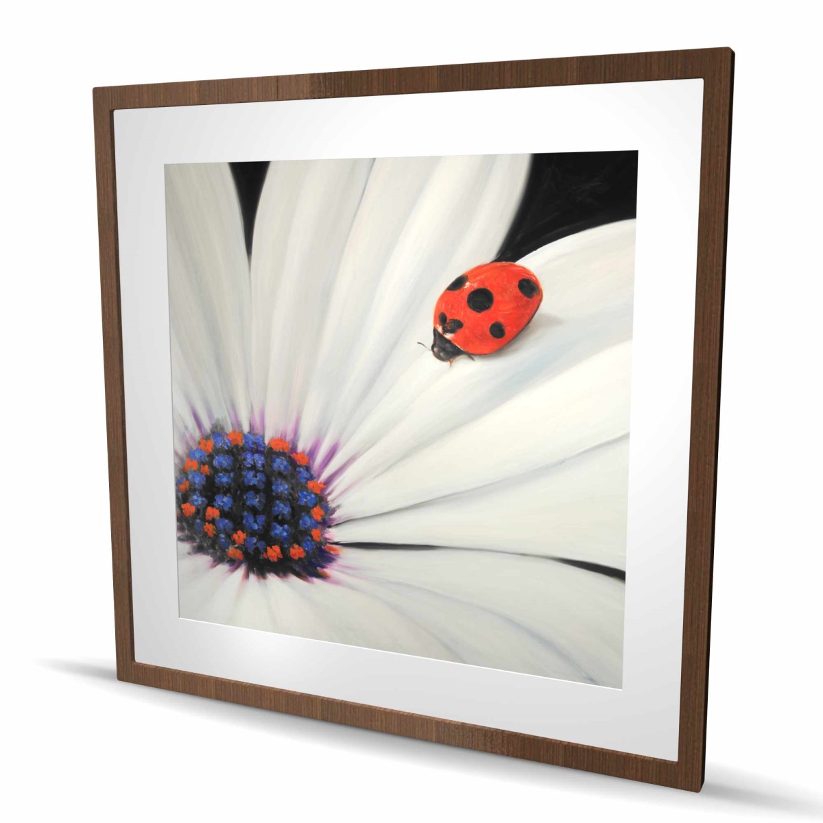 C1FM3636DET50F 36 x 36 in. White Daisy & Ladybug - Framed Botanical Print for Decor