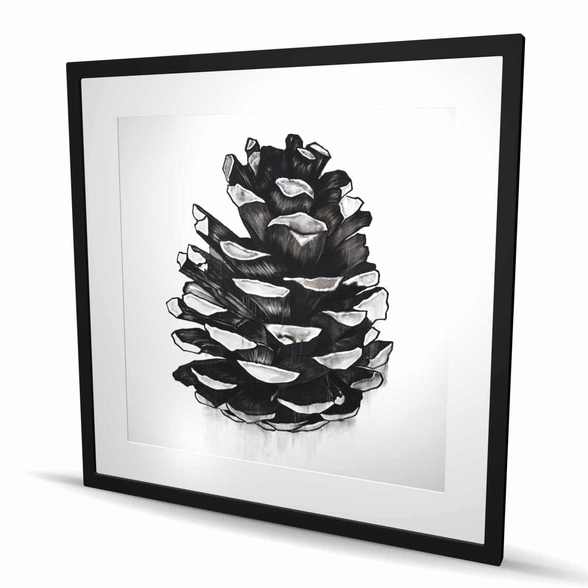 C1FM3636N8WL9K 36 x 36 in. Pine Cone - Office Gray Framed Matted Print for Home Decor