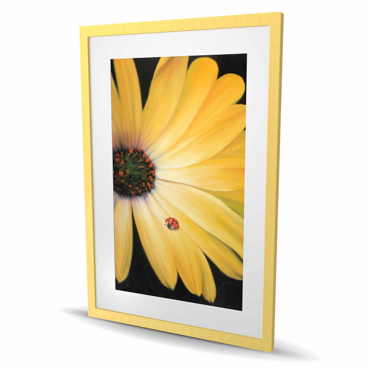 C1FM2436ZMGO7J 24 x 36 in. Yellow Daisy & Ladybug - Romantic Framed Matted Print