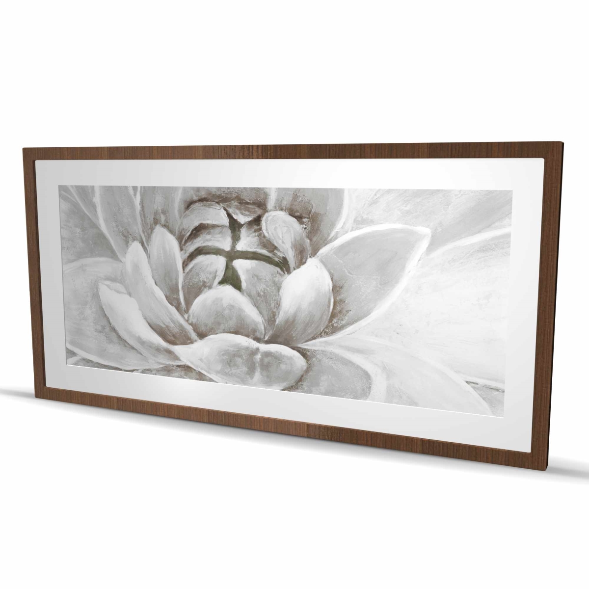 C1FM24483V281W 24 x 48 in. Delicate White Chrysanthemum - Modern Framed Matted Print