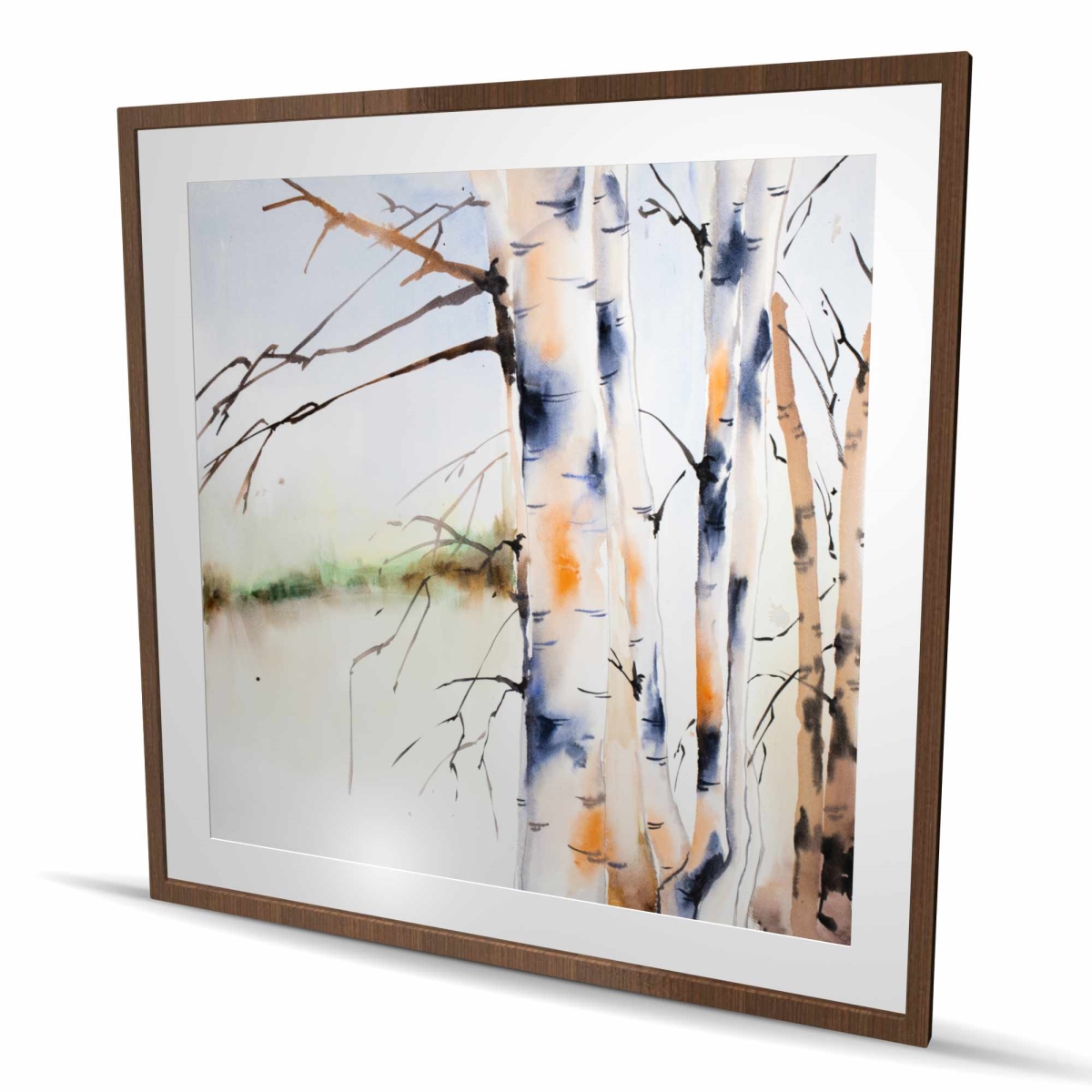 C1FM4848PF439F 48 x 48 in. Birches Trunks - Orange Bedroom Framed Matted Print for Decor