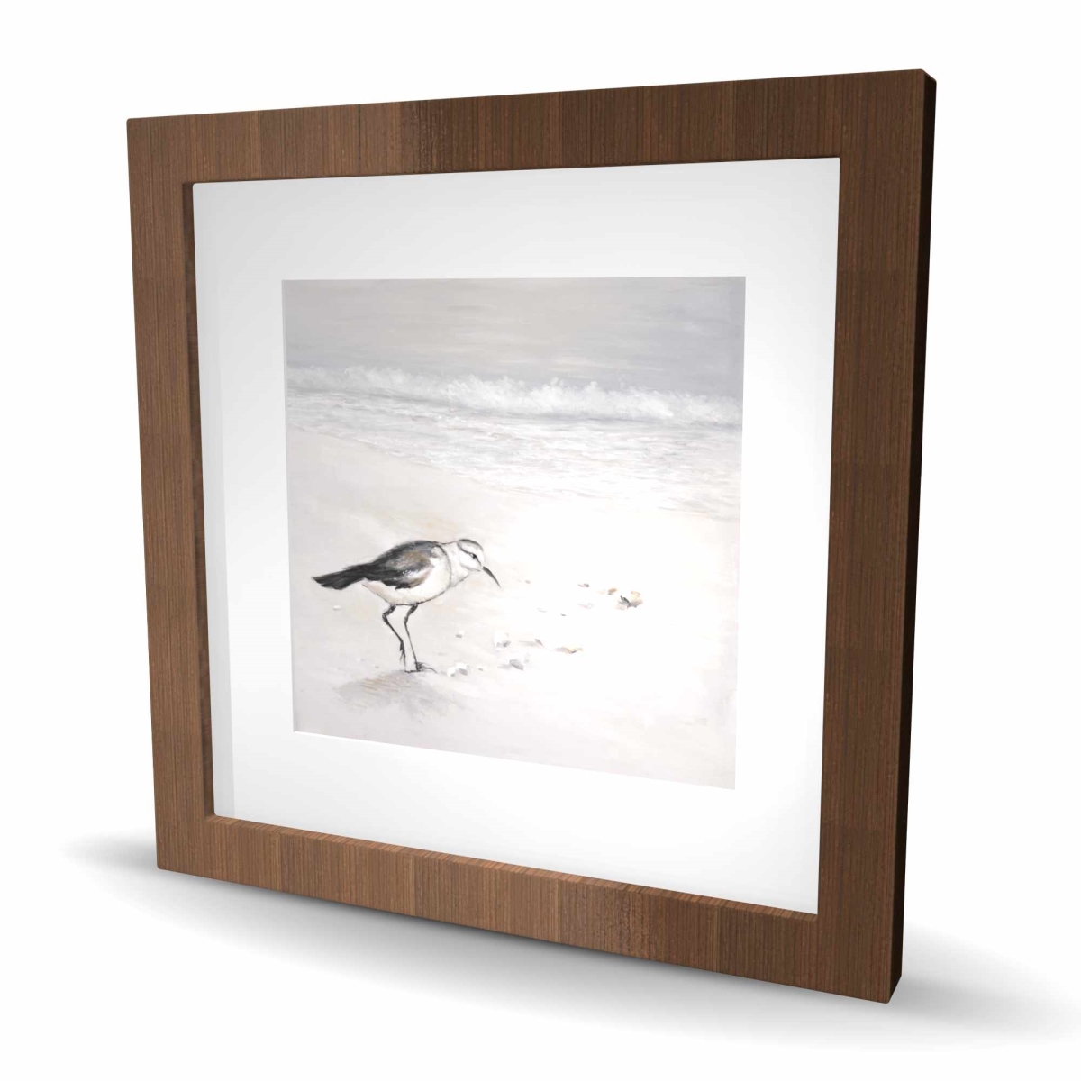C1FM1616D6216P 16 x 16 in. Semipalmated Sandpiper Print - White Framed Matted Decor