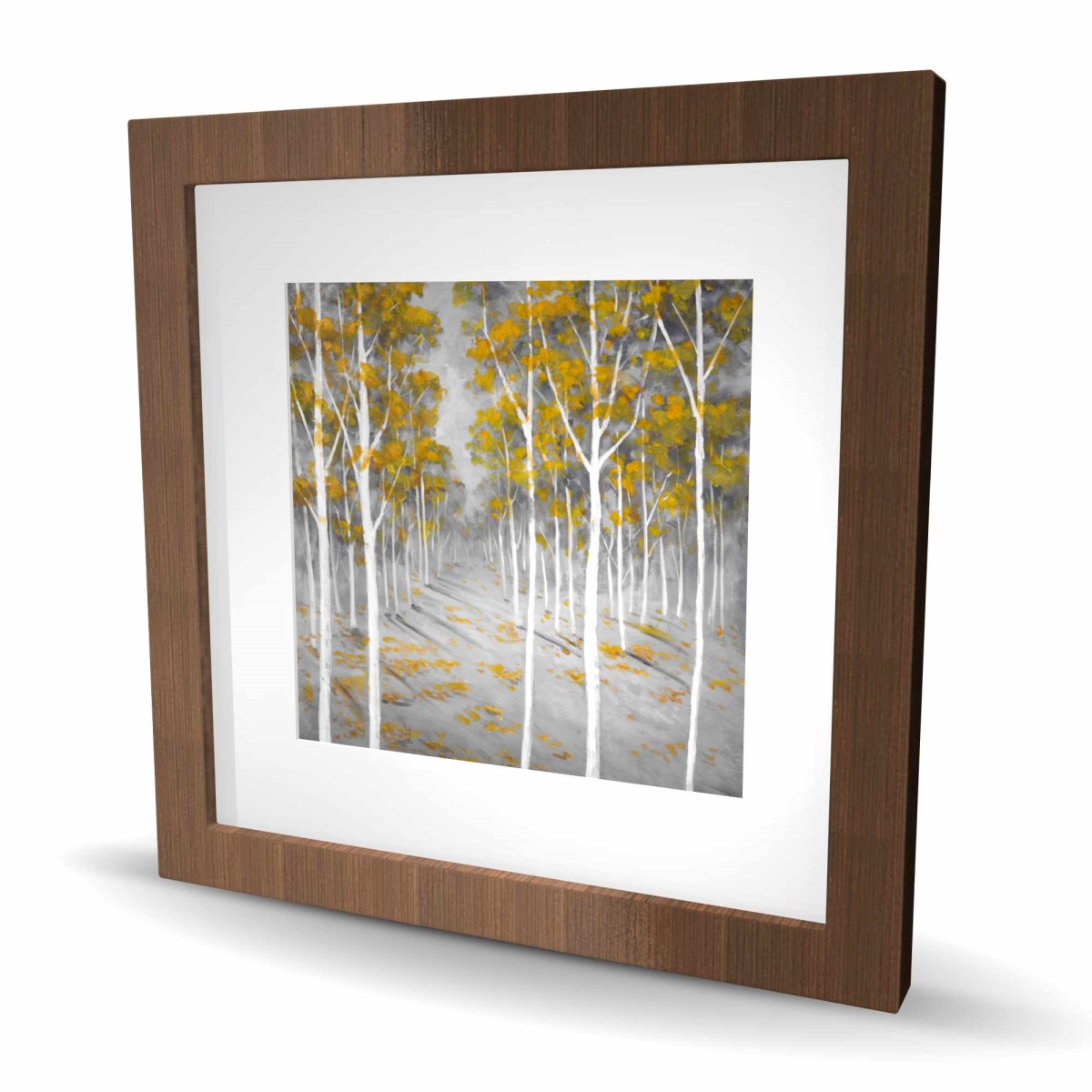 C1FM1616CQPYNC 16 x 16 in. Birch Forest - Yellow Framed Matted Print - Home Decor Art