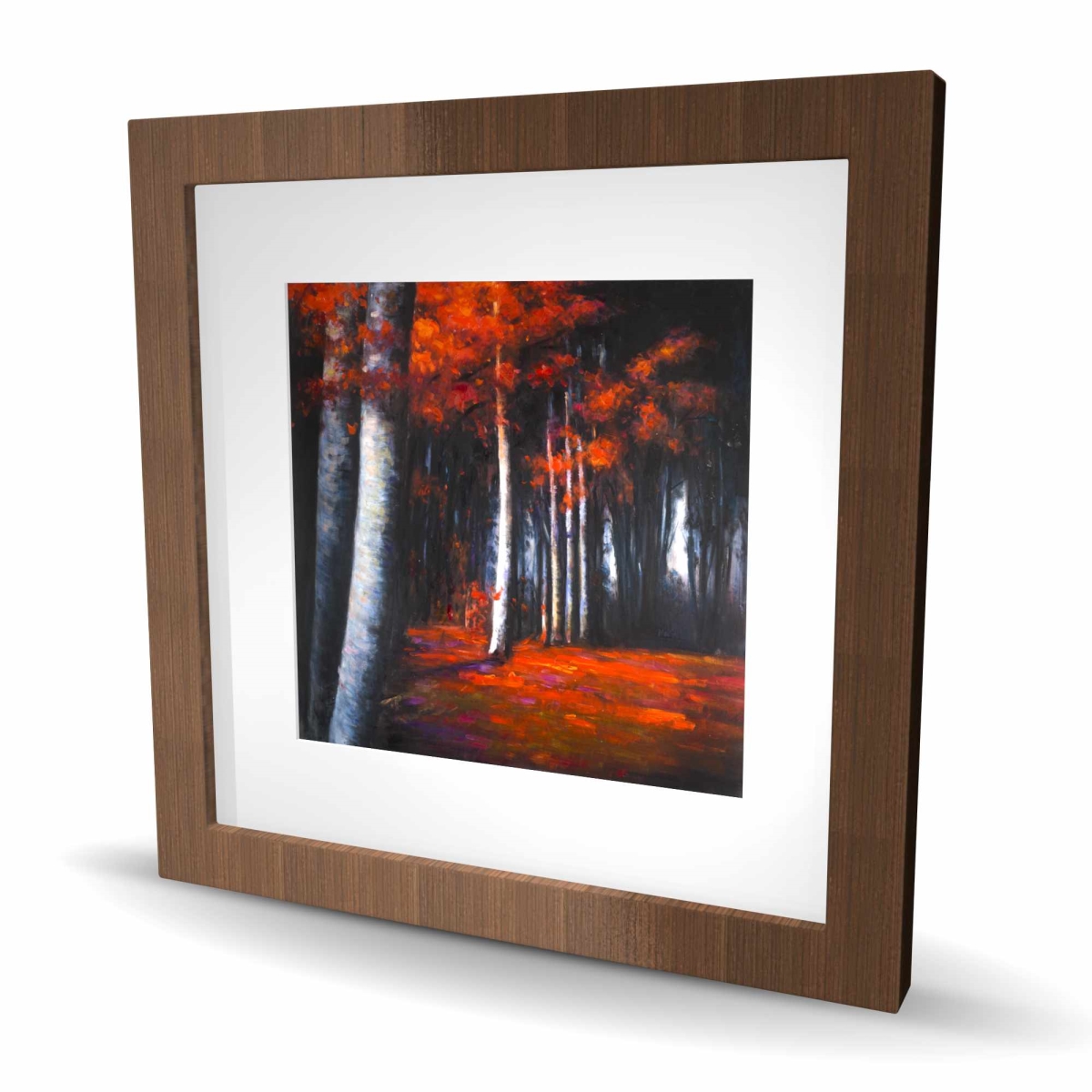 C1FM1616F3NGB9 16 x 16 in. Mysterious Forest - Framed Matted Print for Home Decor