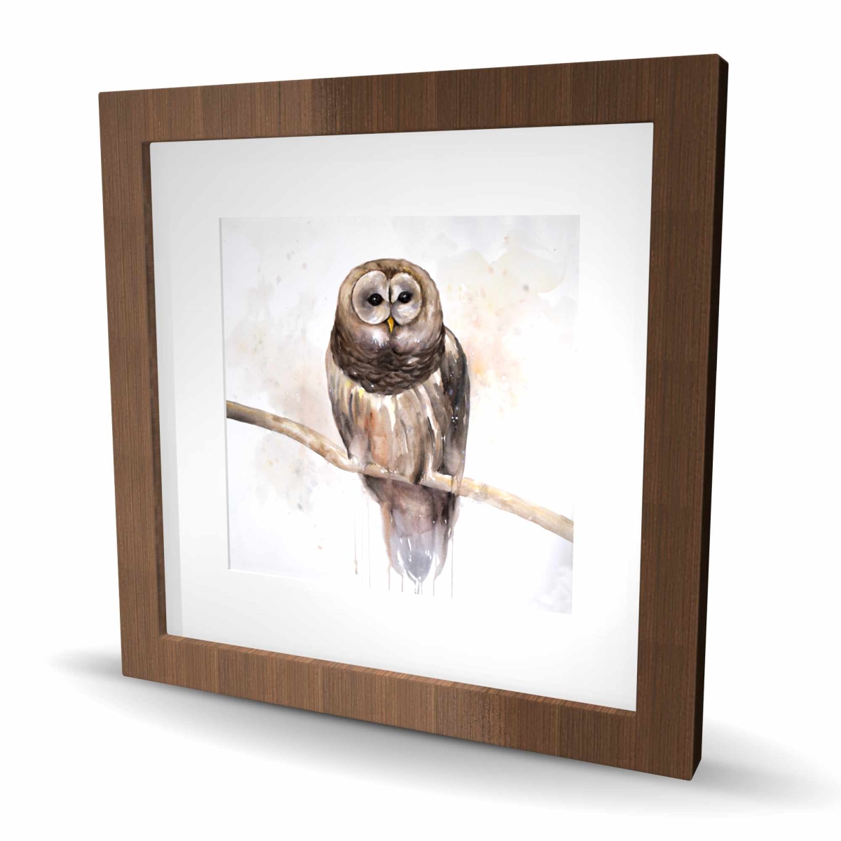 C1FM16165192PY 16 x 16 in. Barred Owl Print - Brown Rustic Framed Matted Home Decor