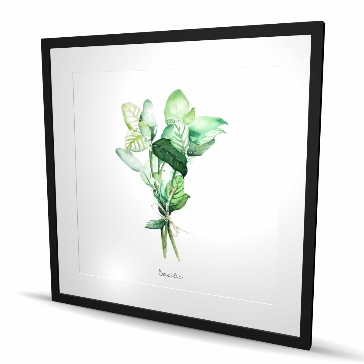 C1FM3636FT2AJ6 36 x 36 in. Tied Up Basil Leaves Bundle - Fr - Framed Matted Print Decor
