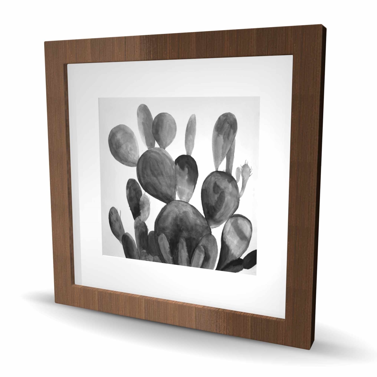 C1FM1616HO76PY 16 x 16 in. Grayscale Paddle Cactus Plant - Botanical Gray Framed Print