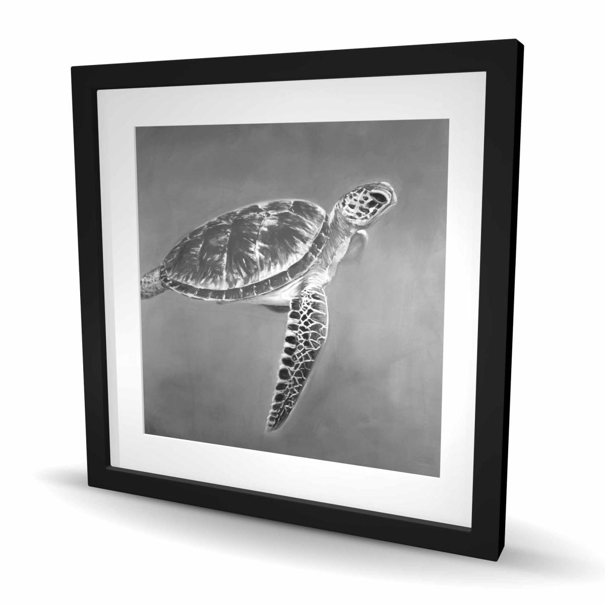 C1FM2424US97CH 24 x 24 in. Grayscale Aquatic Turtle - Coastal Framed Matte Print Decor