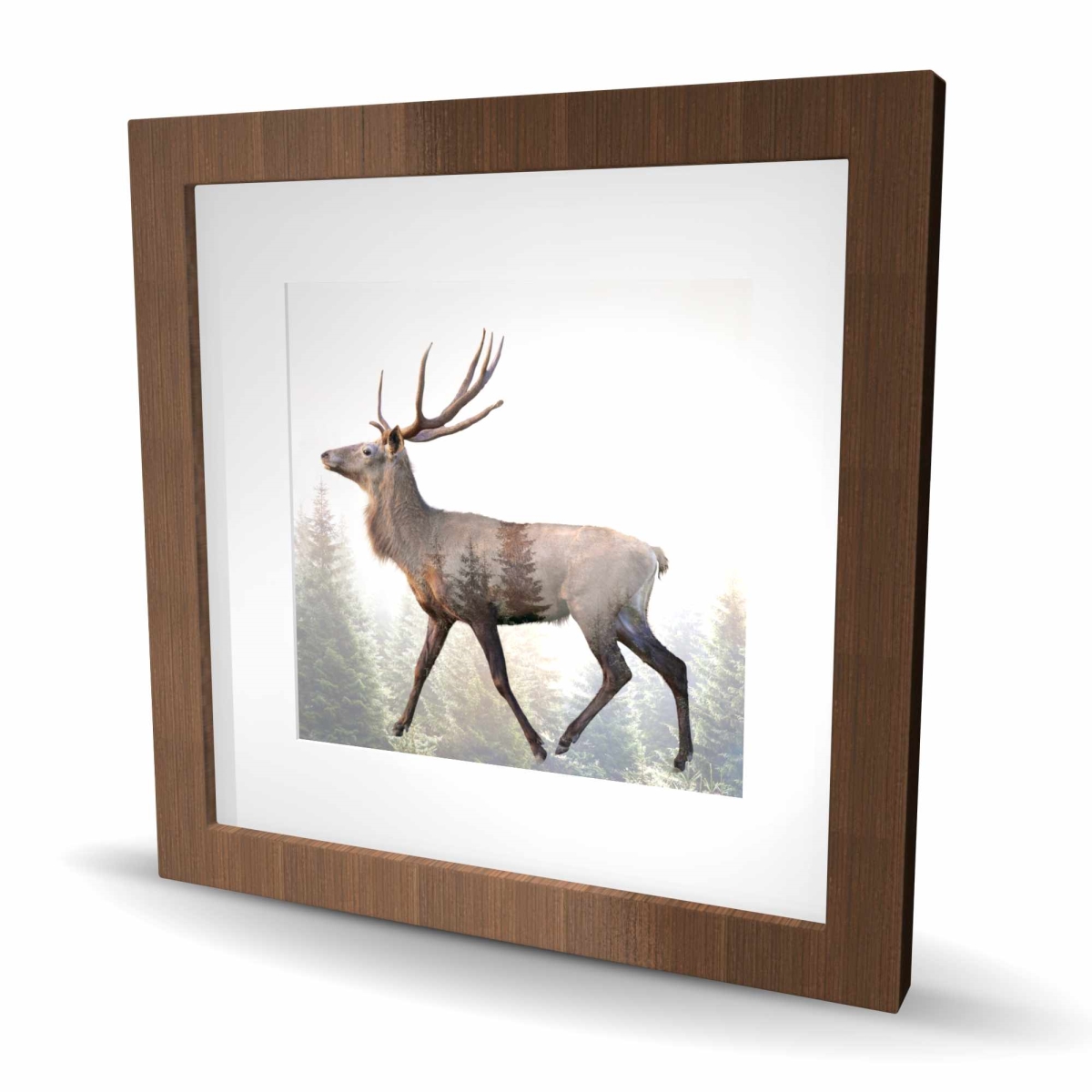 C1FM16163YA69O 16 x 16 in. Large Plume Roe Deer - Office Trees Framed Matted Print